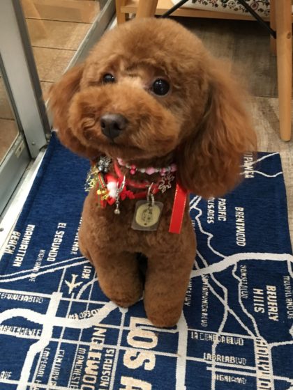 Processed with MOLDIV