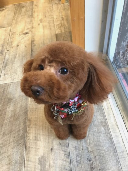 Processed with MOLDIV